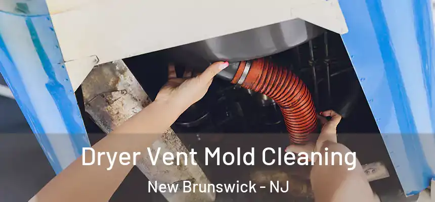 Dryer Vent Mold Cleaning New Brunswick - NJ