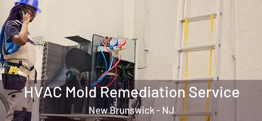  HVAC Mold Remediation Service New Brunswick - NJ