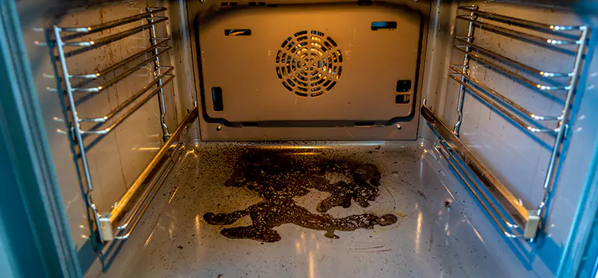 Our Dryer Vent Mold Cleaning Services in New Brunswick, NJ