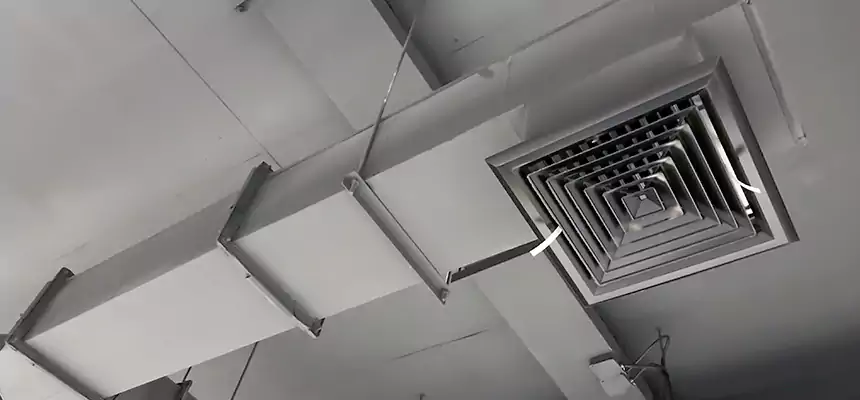 Our Rodent Droppings In Vents Services in New Brunswick, NJ