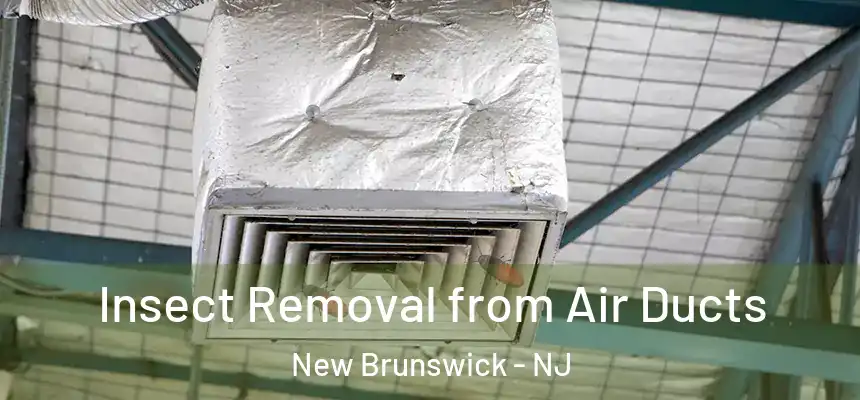 Insect Removal from Air Ducts New Brunswick - NJ