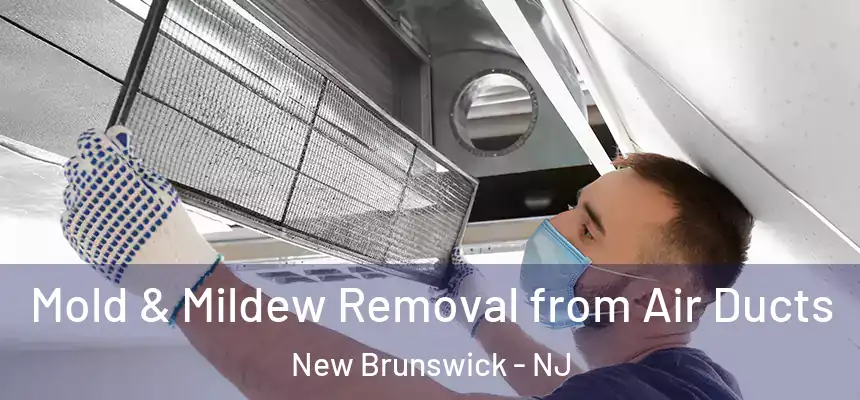 Mold & Mildew Removal from Air Ducts New Brunswick - NJ