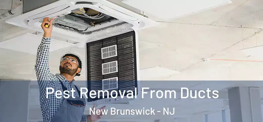 Pest Removal From Ducts New Brunswick - NJ