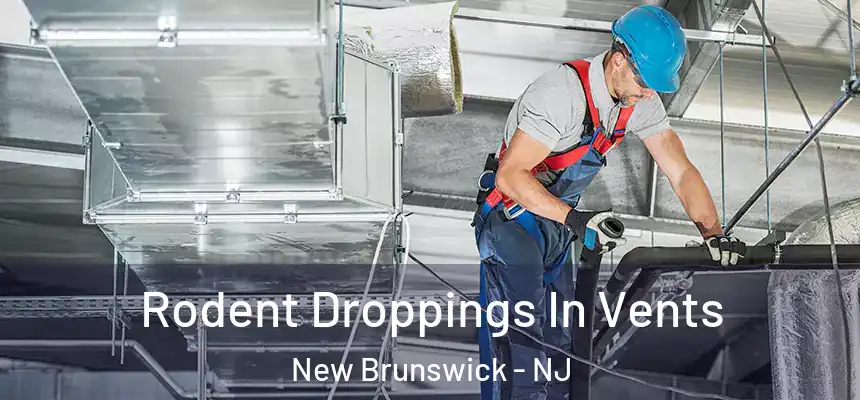 Rodent Droppings In Vents New Brunswick - NJ