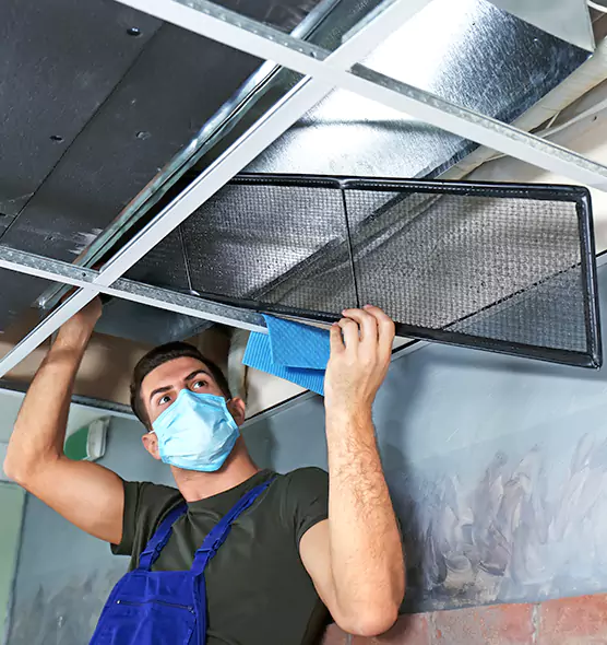 About Air Duct Bacteria Removal in New Brunswick