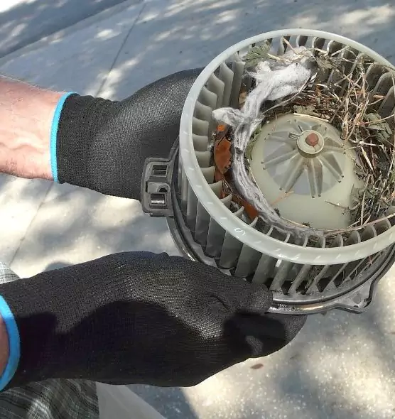 About Air Duct Mice Removal in New Brunswick, NJ