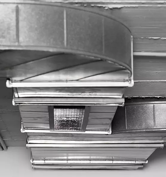 Professional Air Duct Pest Removal in New Brunswick, NJ