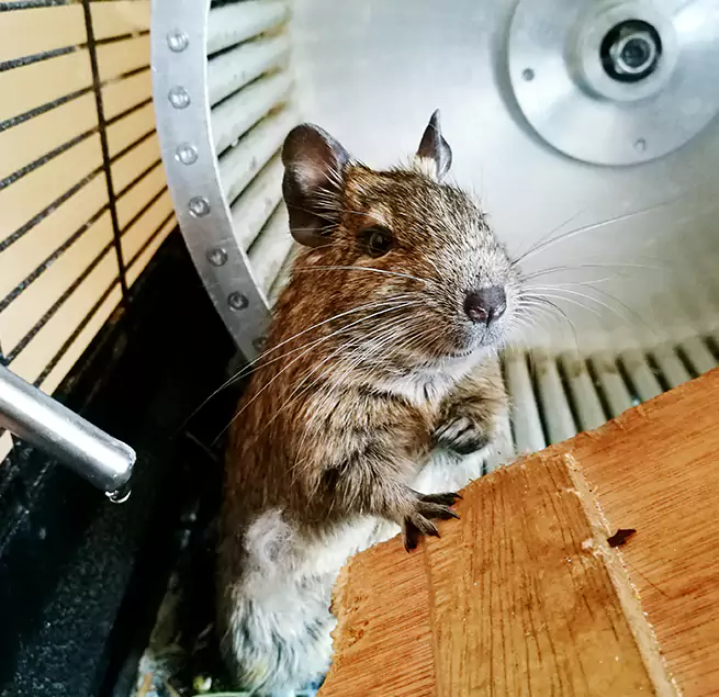 Why Homeowners & Businesses Trust Us New Brunswick, NJ